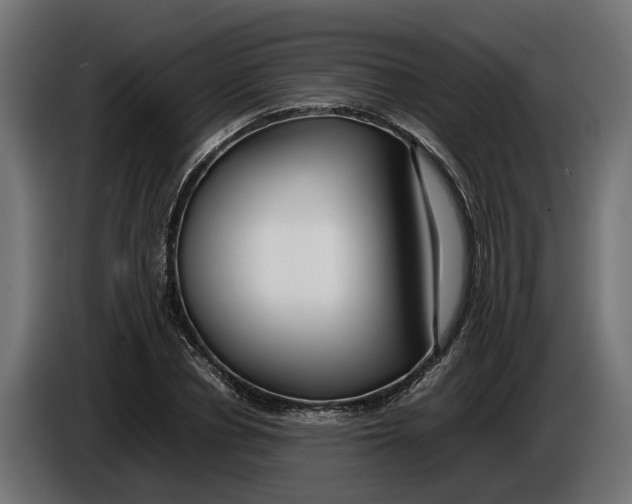 X0000086080834200704132101