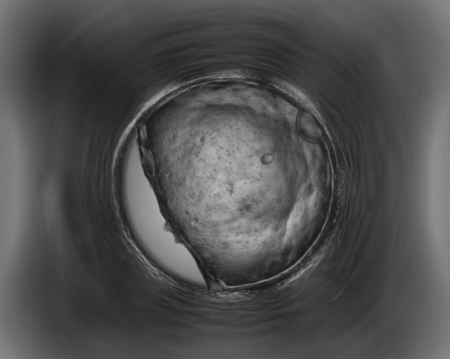 X0000086080835200704132101