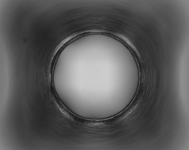 X0000086080837200704132101