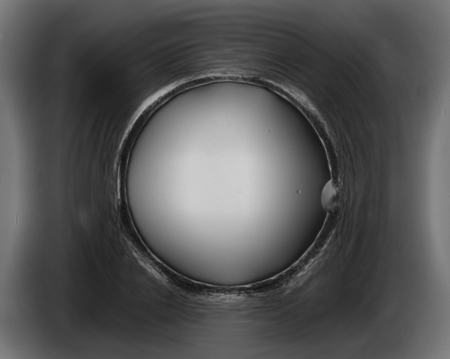 X0000086080838200704132101