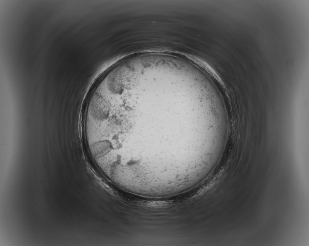 X0000086080839200704132101