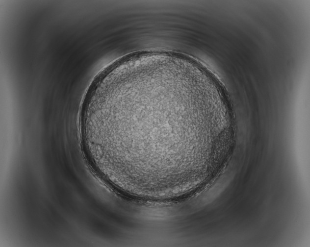 X0000086080840200704132101