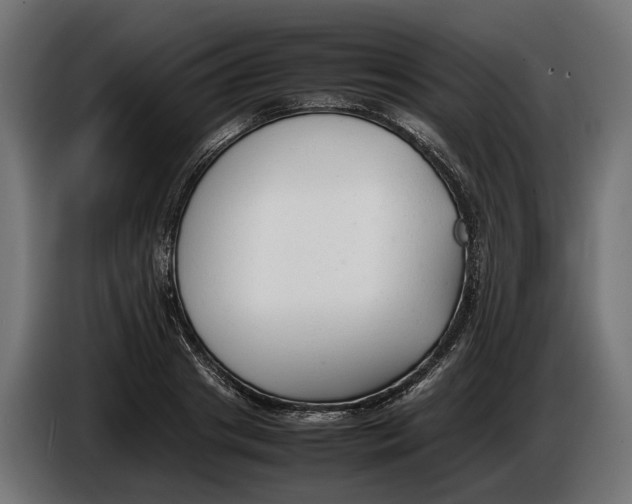 X0000086080841200704132101