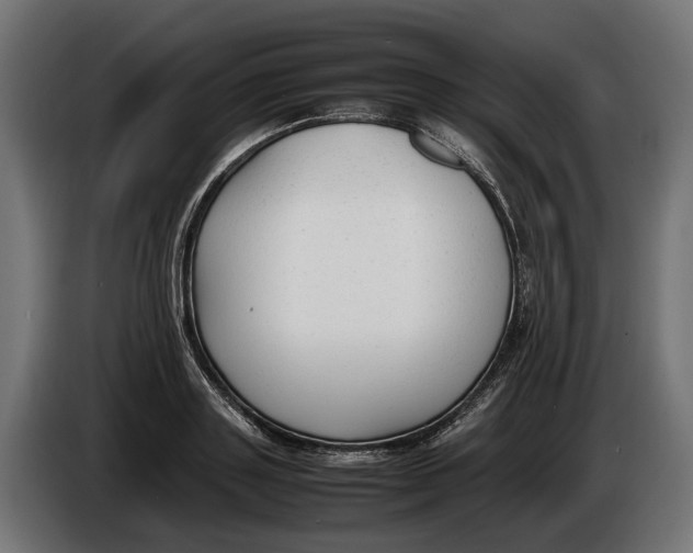 X0000086080843200704132101