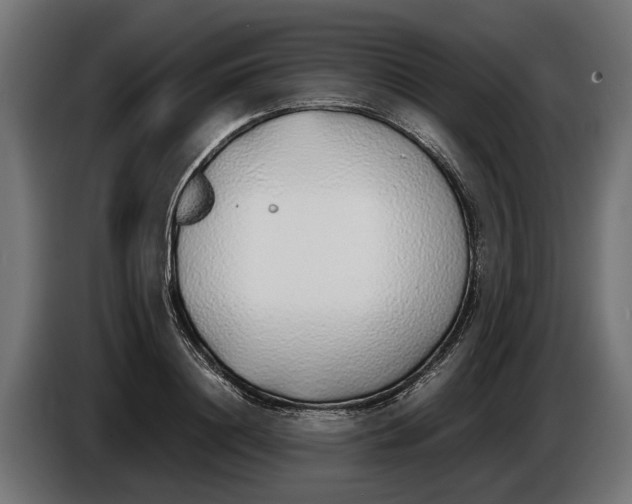 X0000086080844200704132101