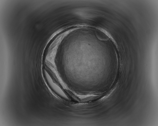 X0000086080845200704132101