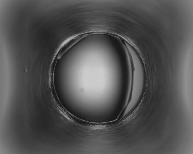 X0000086080846200704132101