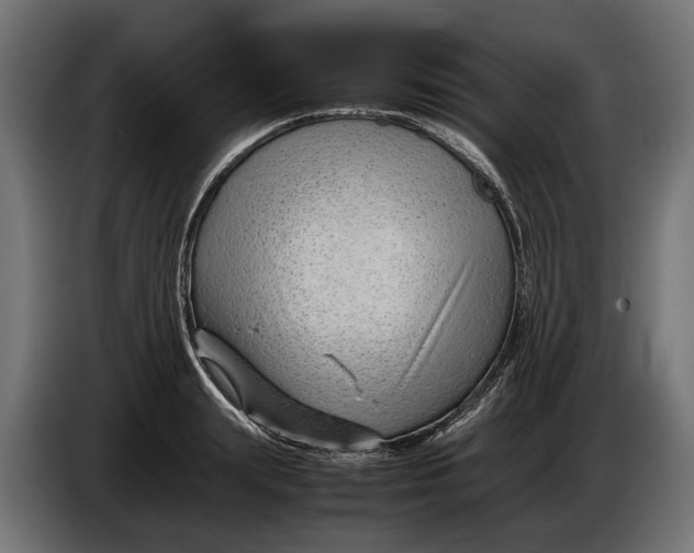 X0000086080847200704132101