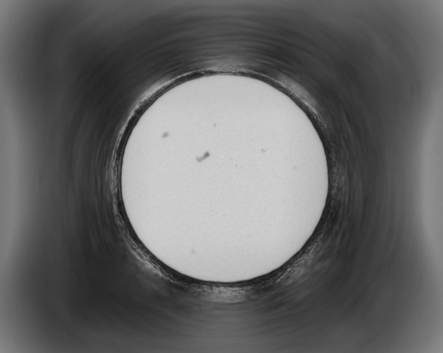 X0000086080848200704132101