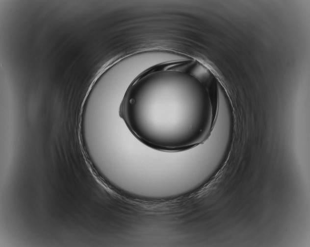 X0000086080850200704132101