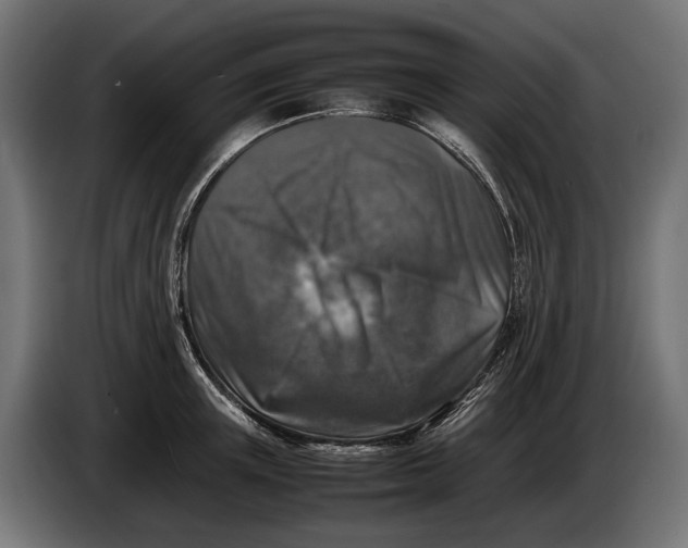 X0000086080851200704132101