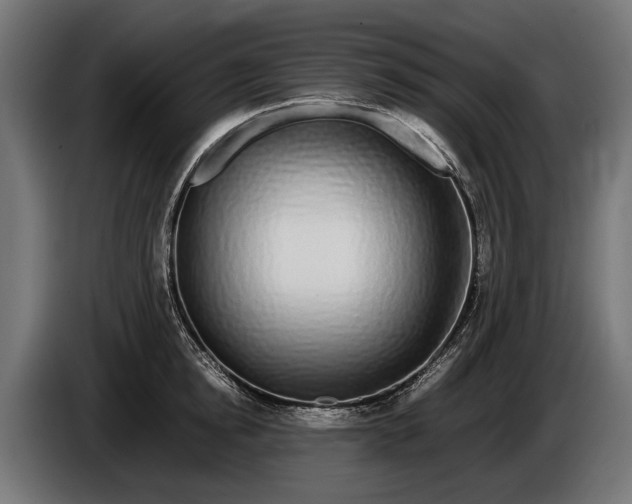 X0000086080854200704132101