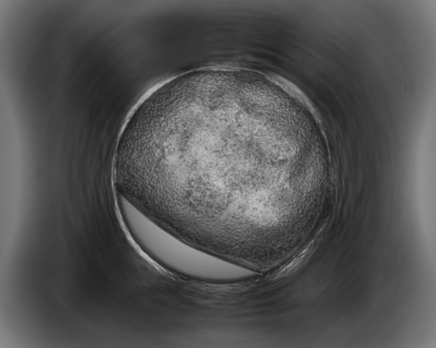 X0000086080855200704132101