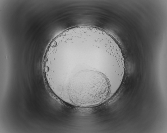 X0000086080856200704132101