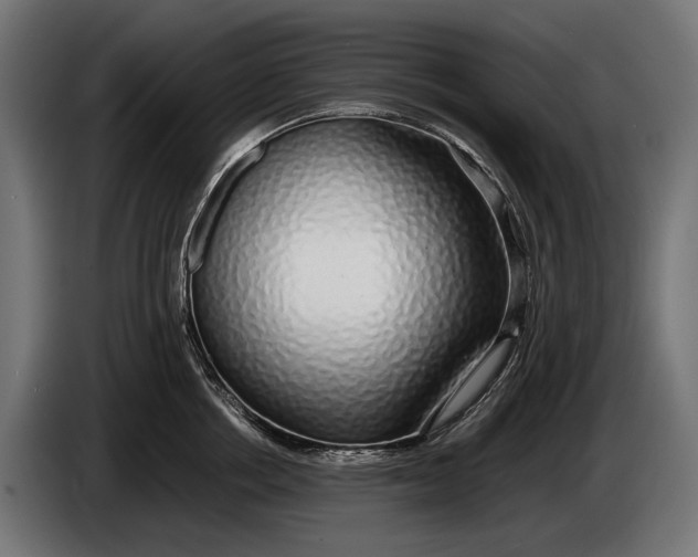 X0000086080858200704132101