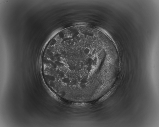 X0000086080859200704132101