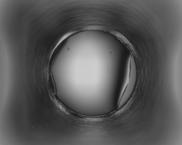 X0000086080860200704132102