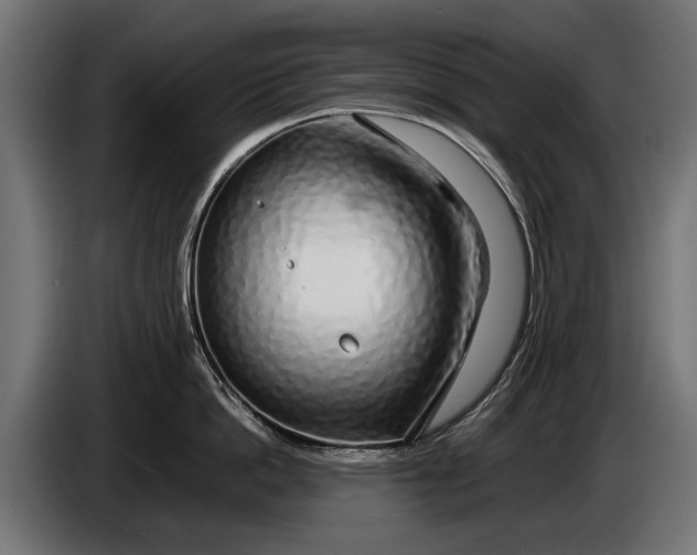 X0000086080862200704132102