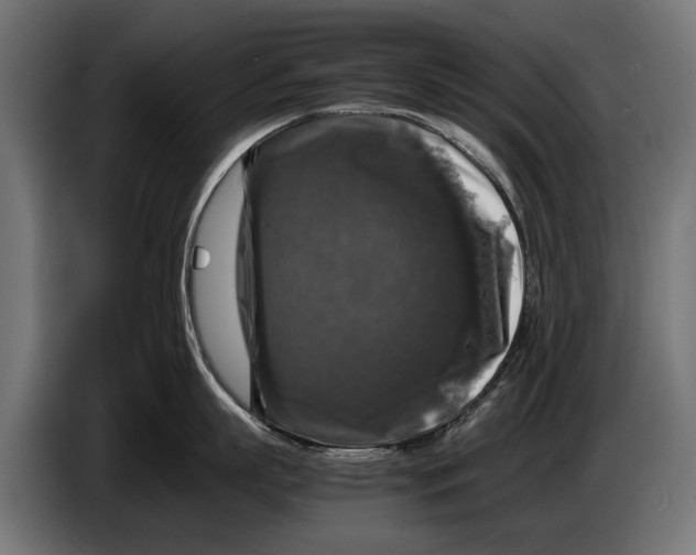 X0000086080863200704132102