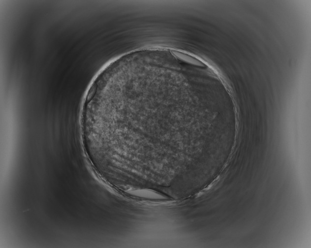 X0000086080864200704132102