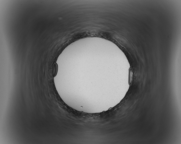 X0000086080865200704132101