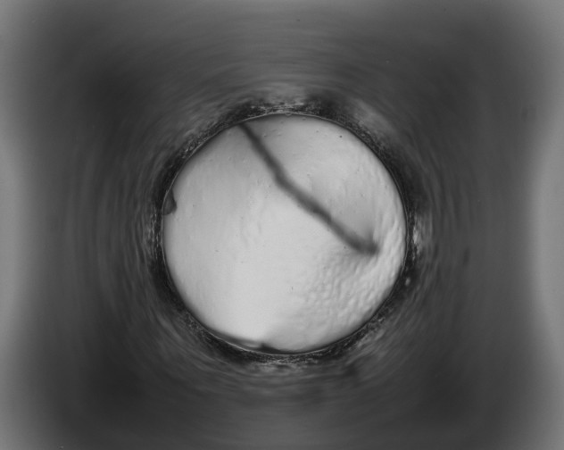 X0000086080867200704132101