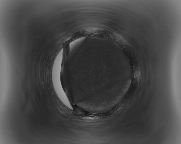 X0000086080868200704132101