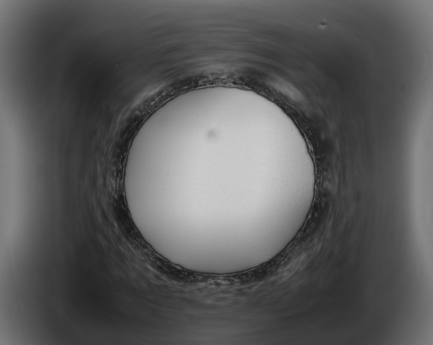 X0000086080869200704132101