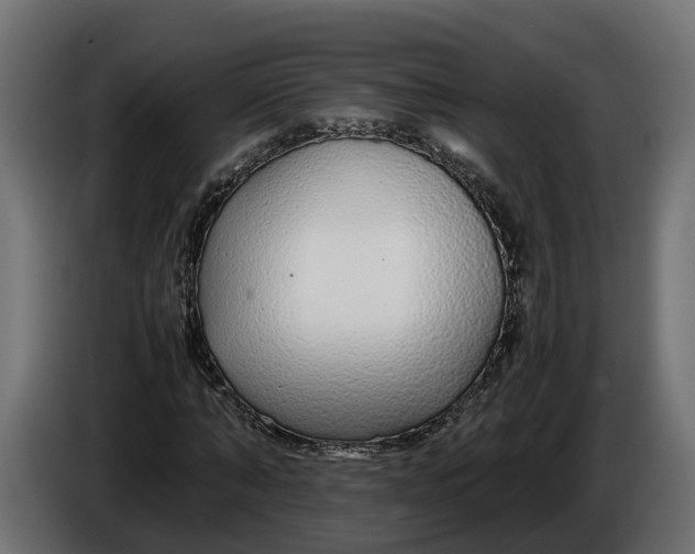 X0000086080870200704132101