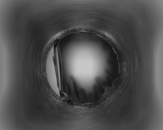 X0000086080872200704132101