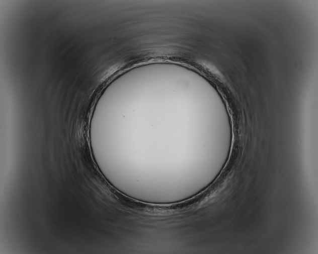 X0000086080873200704132101