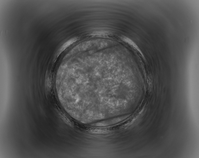 X0000086080874200704132101