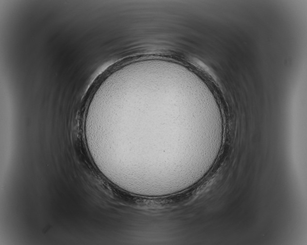 X0000086080875200704132101