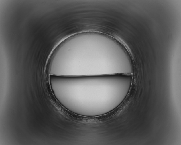 X0000086080876200704132101