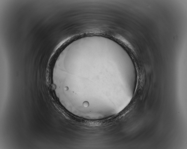 X0000086080878200704132100