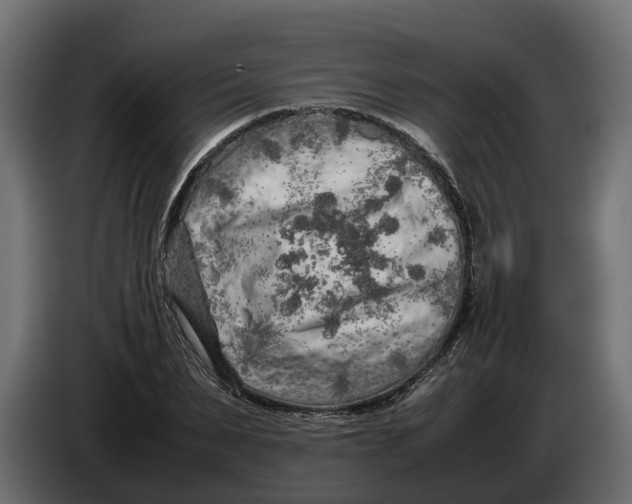 X0000086080879200704132100