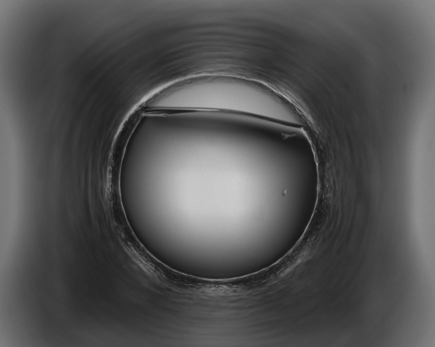 X0000086080880200704132100