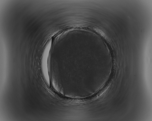 X0000086080881200704132100