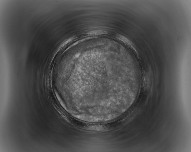 X0000086080882200704132100