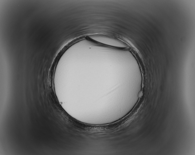 X0000086080883200704132100