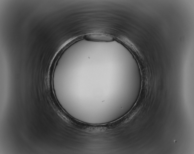 X0000086080884200704132100