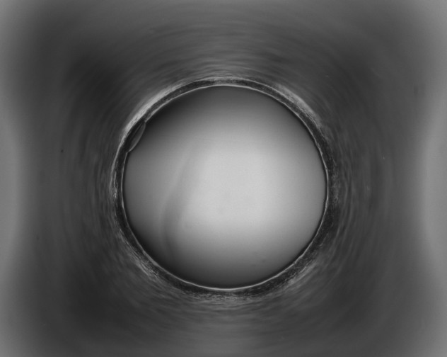 X0000086080885200704132100