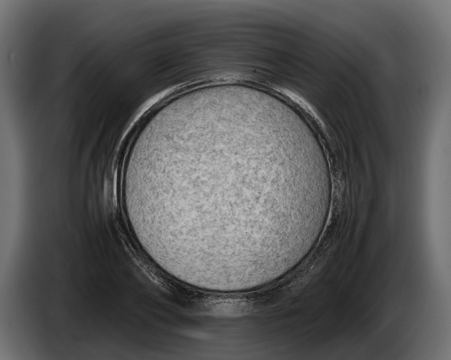 X0000086080886200704132100