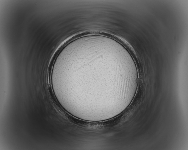 X0000086080887200704132100