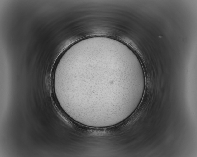 X0000086080890200704132100