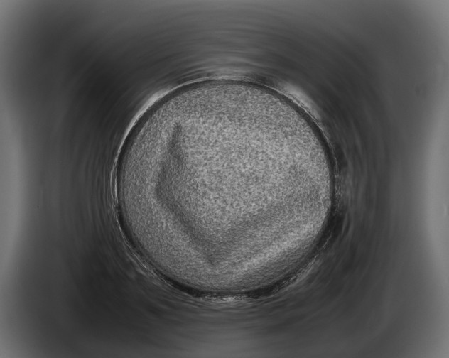 X0000086080891200704132100