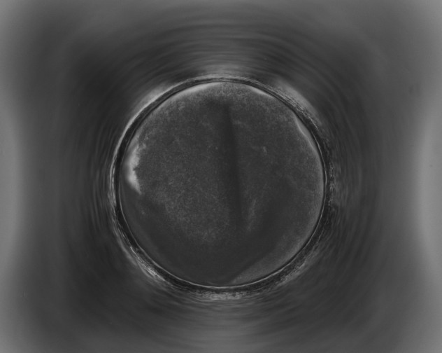 X0000086080892200704132100