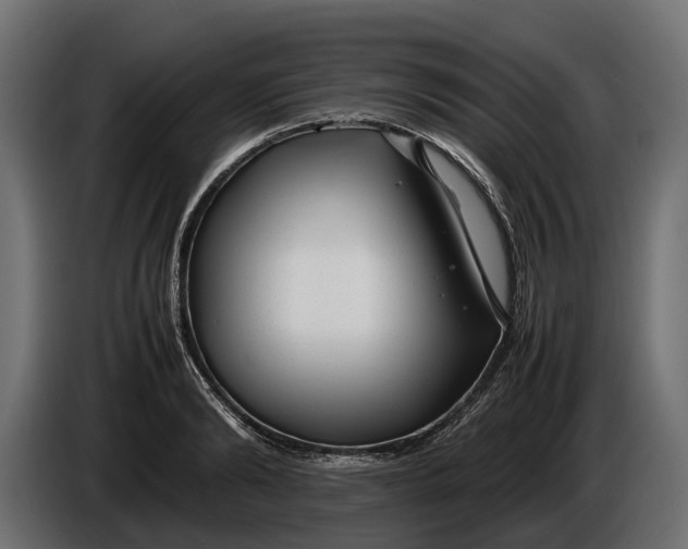 X0000086080894200704132100