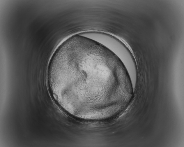 X0000086080895200704132100