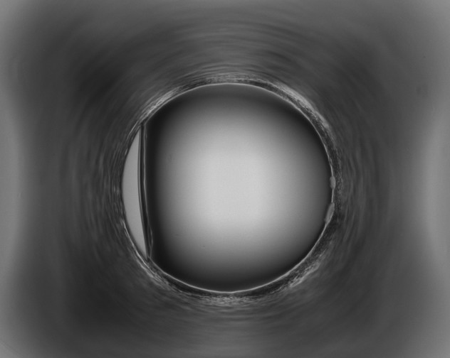 X0000086080897200704132100